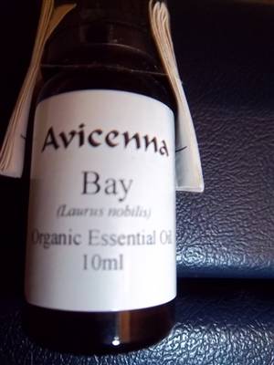 bay laurel essential oil